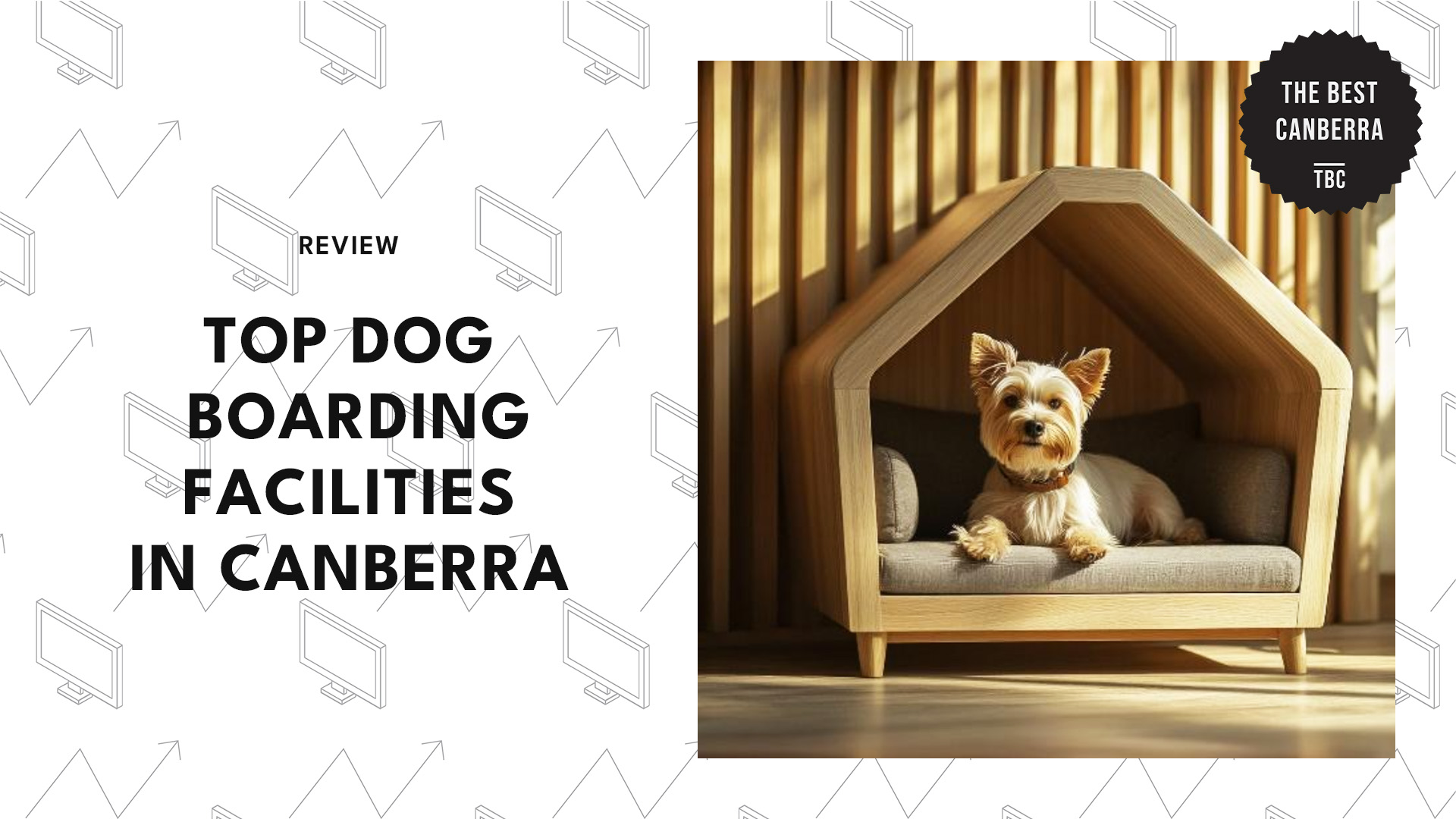 best-dog-boarding-canberra-banner
