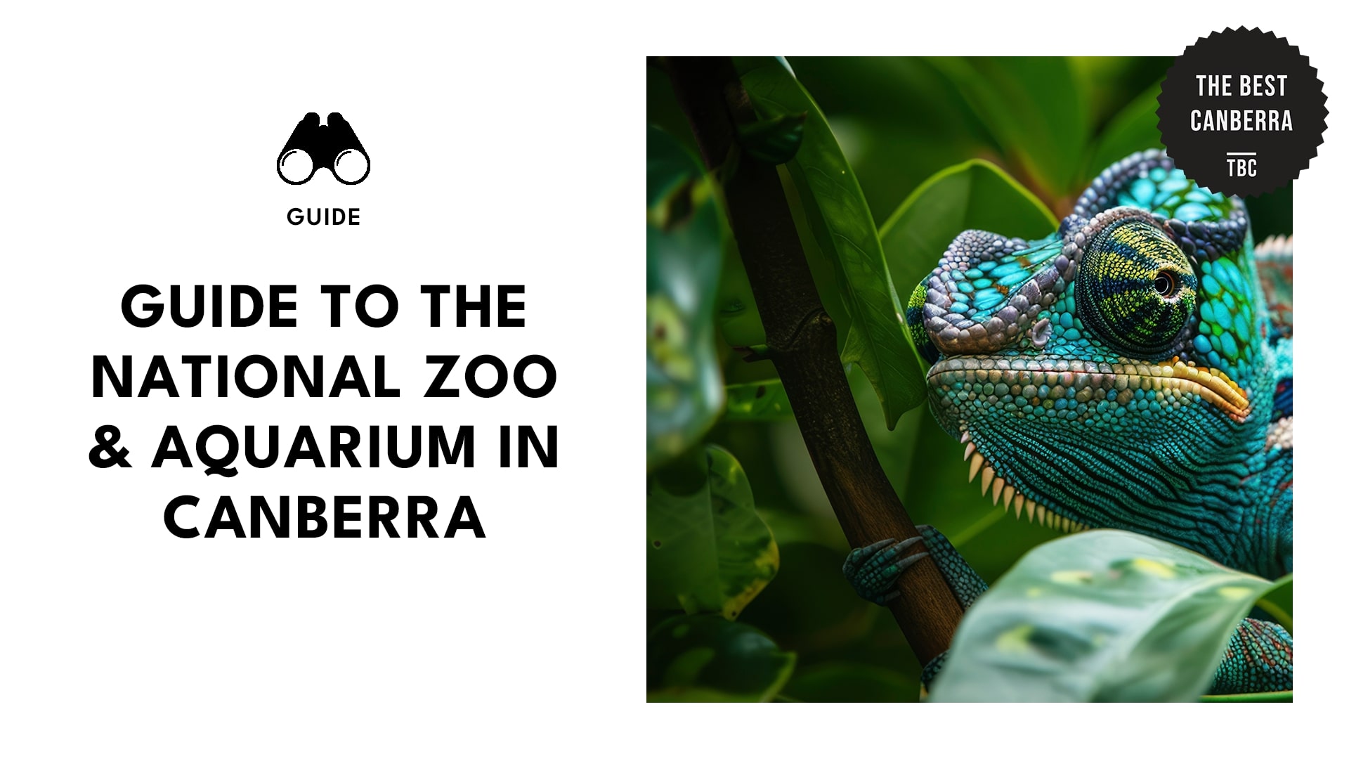 national-zoo-aquarium-banner