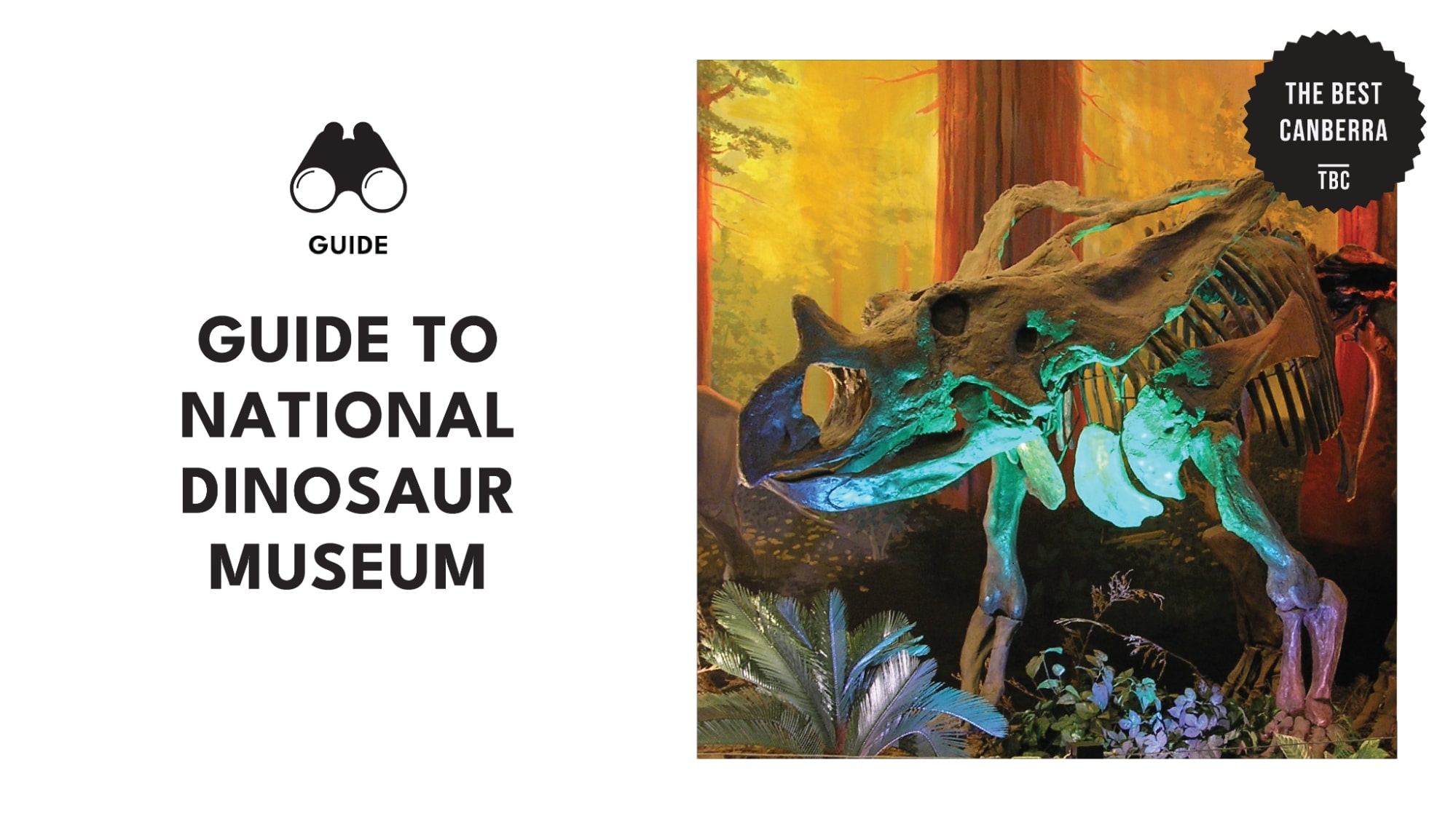 national-dinosaur-museum-banner