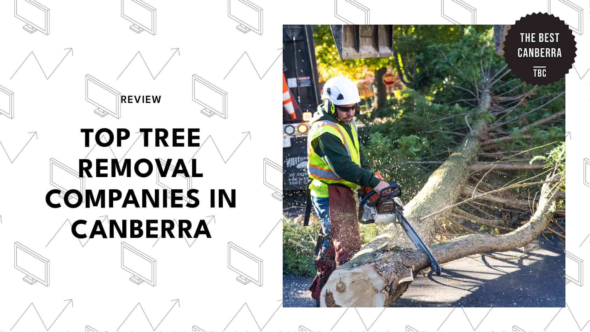 top-tree-removal-canberra-banner