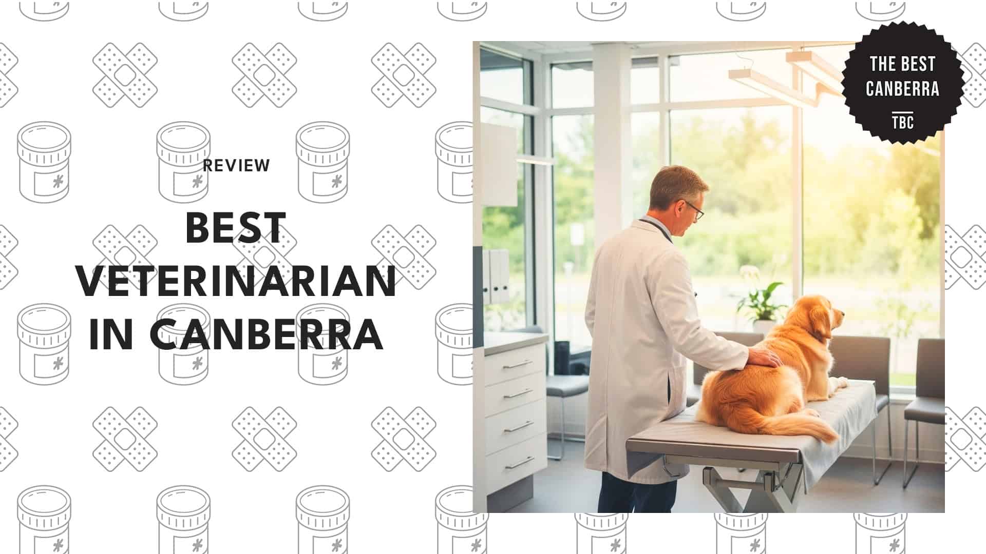 best-veterinarian-canberra-bannner