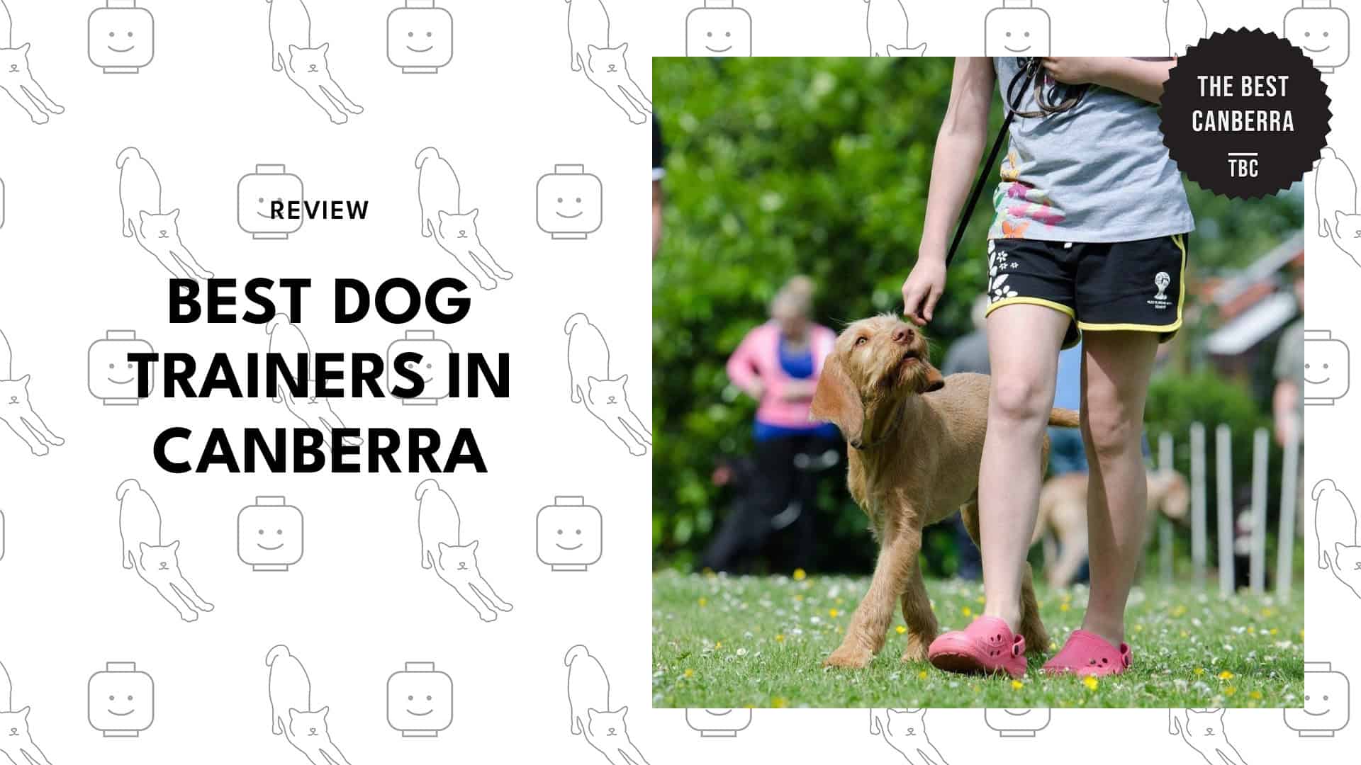 best-dog-trainers-canberra